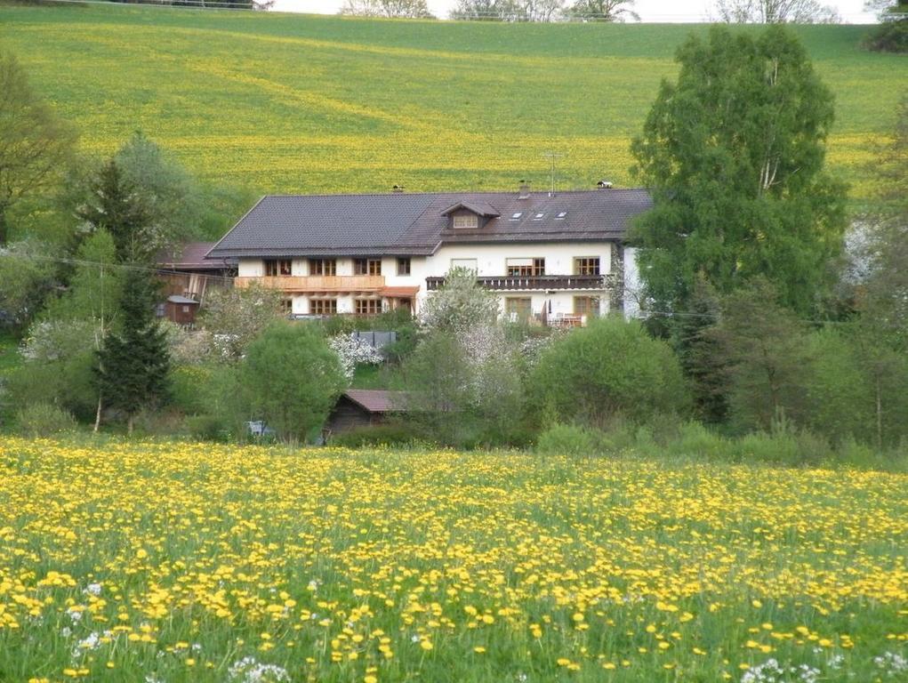 Pension Landhaus Riedelstein Drachselsried Luaran gambar